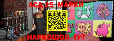 прущие грибы Усть-Джегута