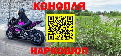 прущие грибы Усть-Джегута
